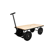 Carrinho Transporte Plataf 300kg Roda Injet Mp300 Lynus
