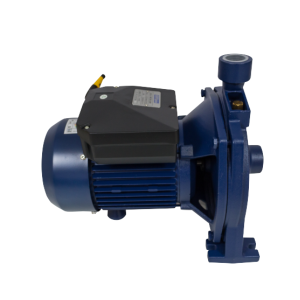 MOTOBOMBA ELETRICA CENTRIFUGA 1CV MONO MCSE100B ELETROPLAS