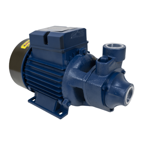 Motobomba Elétrica Periférica 1Cv Mono Ics100B 220V Eletroplas 7756