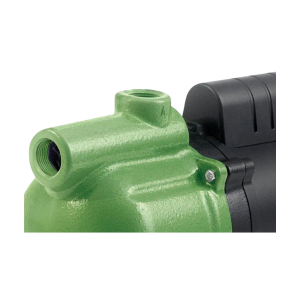 Motobomba Elétrica Autoaspirante  mono Asp98 220V Schneider