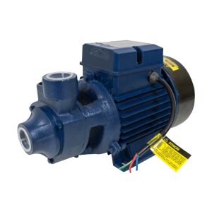 Motobomba Elétrica Periférica 1Cv Mono Ics100B 220V Eletroplas 7756