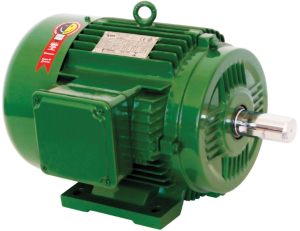 Motor Trifásico 1/2Hp 4 Polo Baixa Rotação 220/380V Blindado Nova