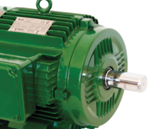 Motor Trifásico 1/2Hp 4 Polo Baixa Rotação 220/380V Blindado Nova